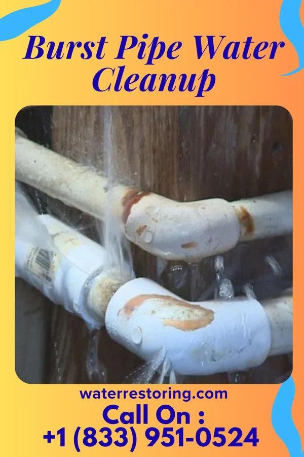 Burst Pipe Water Cleanup in Piedmont, WV