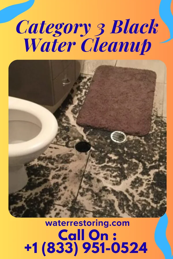 Category 3 Black Water Cleanup in Piedmont, WV