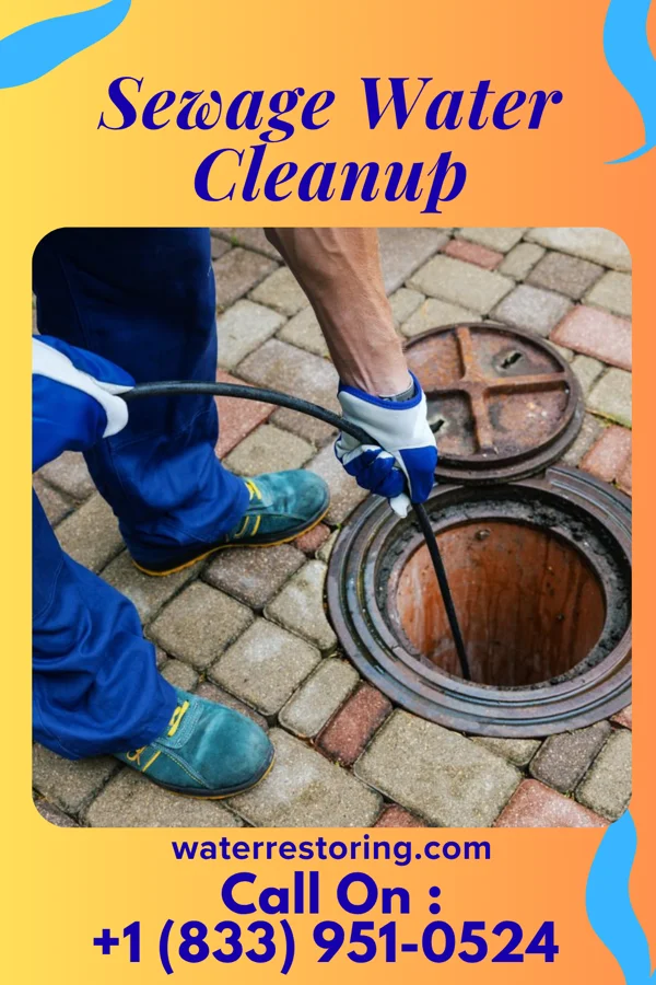 Sewage Water Cleanup in Piedmont, WV